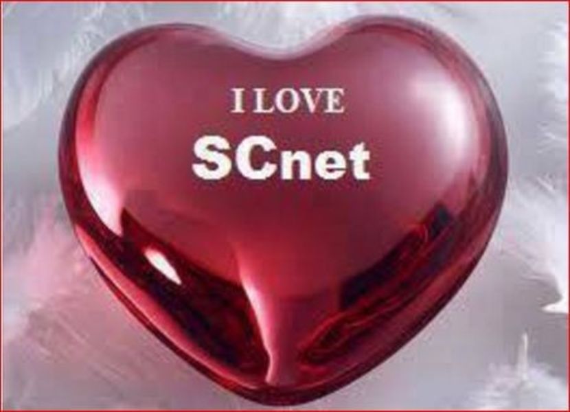 lovescnet - Viorel Iulian Iliev