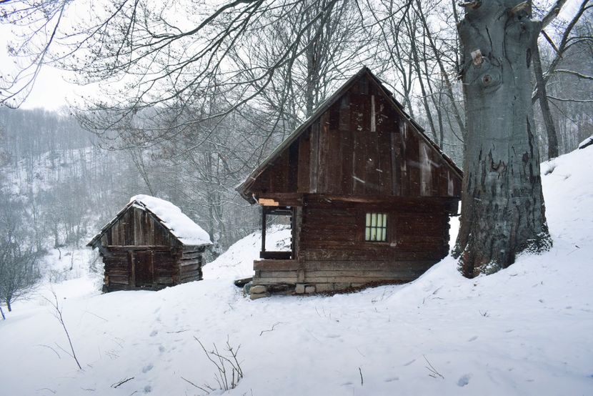  - Photo 2019