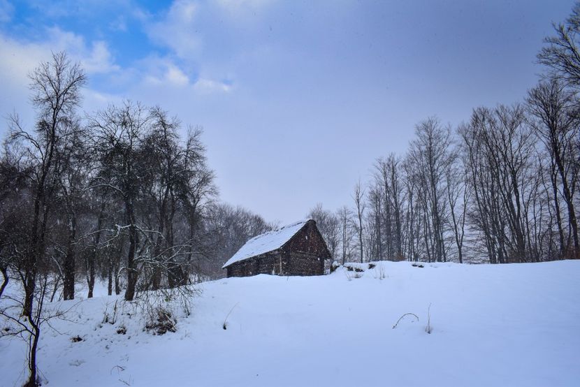  - Photo 2019