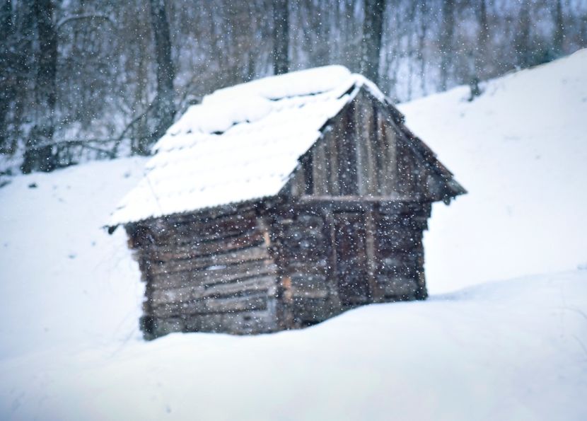  - Photo 2019