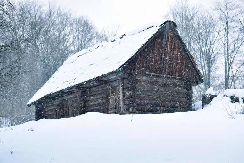  - Photo 2019