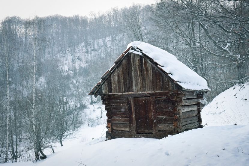  - Photo 2019
