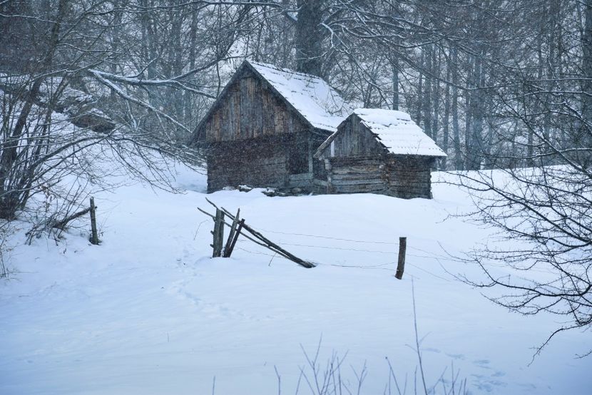  - Photo 2019
