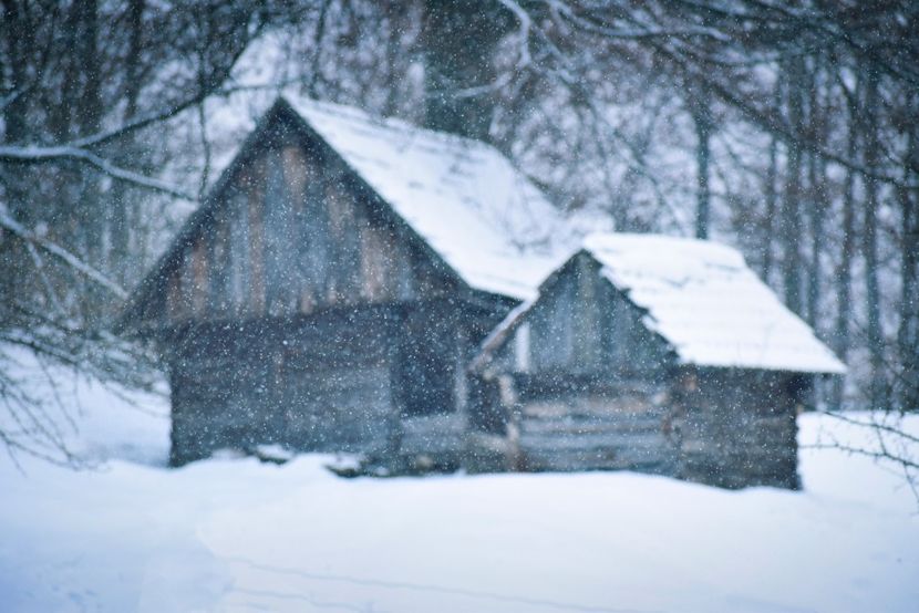  - Photo 2019