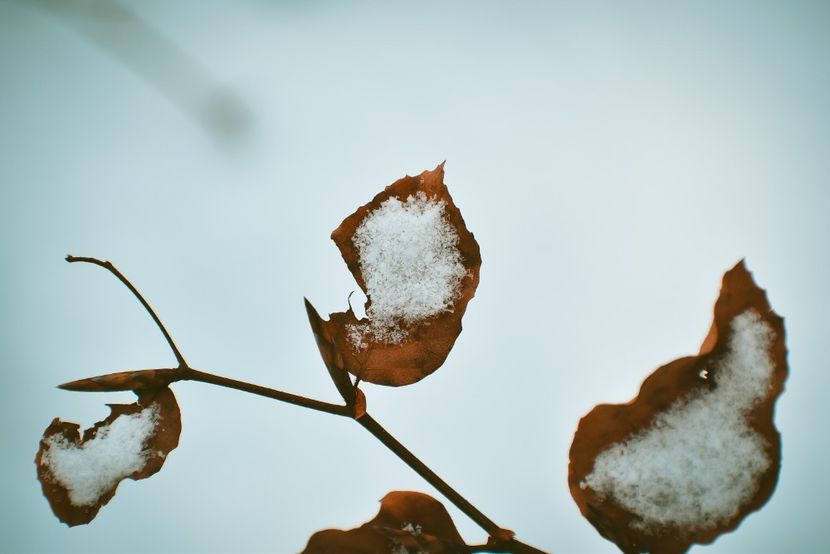  - Photo 2019