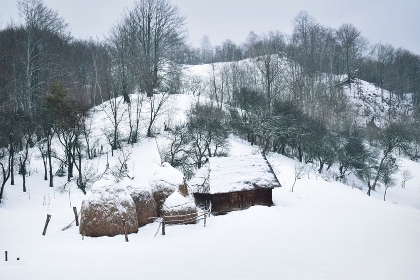  - Photo 2019