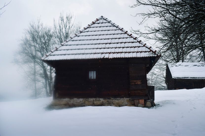  - Photo 2019
