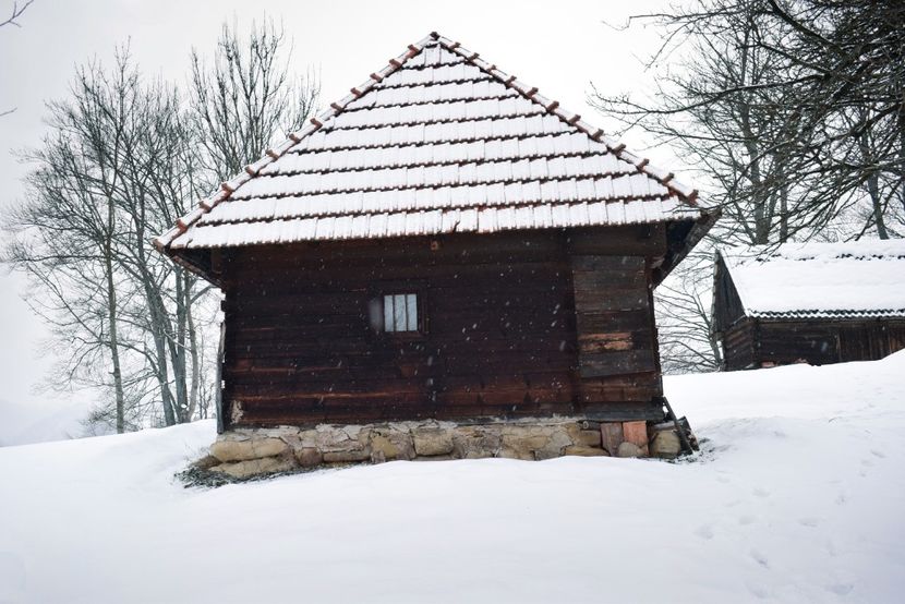  - Photo 2019