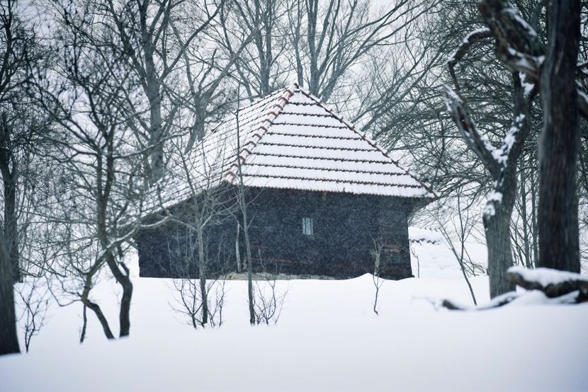  - Photo 2019