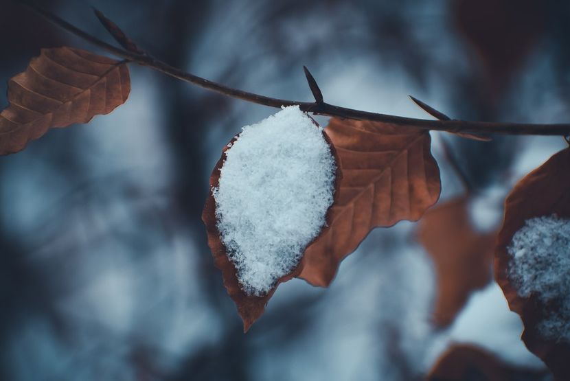  - Photo 2019