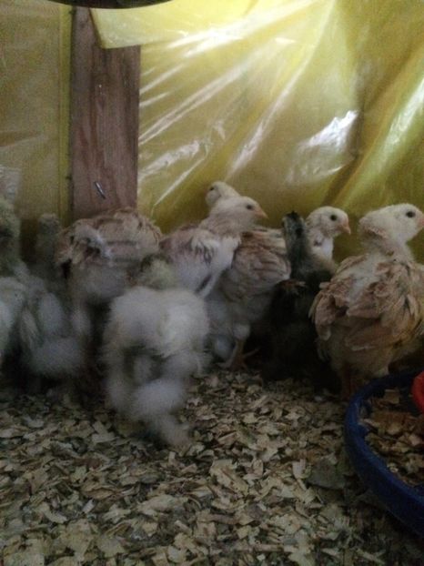 2AC5A6F7-8C90-48A3-B252-3209F397AC93 - 2019 PUI