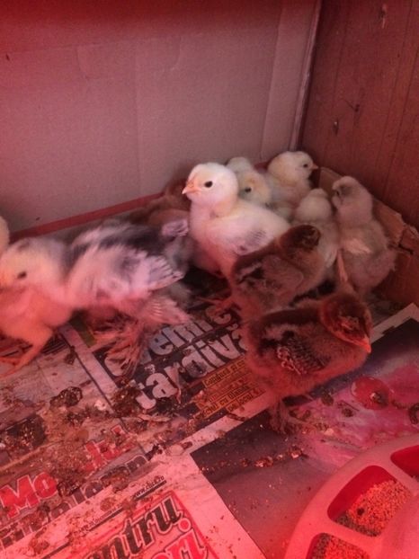 6D96FC1F-49FF-417E-83A7-2561A562FE97 - 2019 PUI