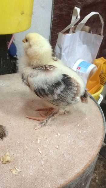 F47B9641-6126-480D-8D14-950A59E01F55 - 2019 PUI