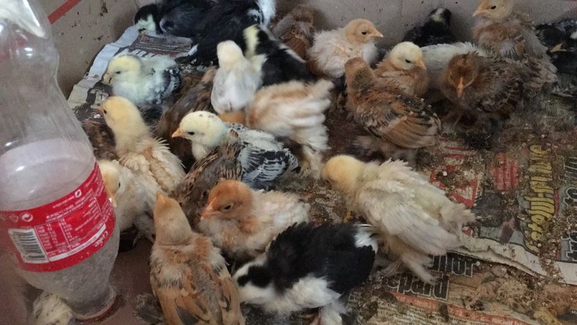 3FE670F4-8F49-4AEB-AD3F-69B3172E5B20 - 2019 PUI