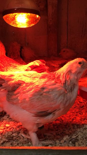 474F8D14-5BEB-4E42-8734-5477DDC41F36 - 2019 PUI