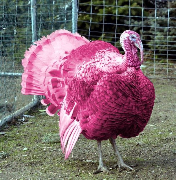 90688301-313E-475E-BB01-8C382C4F8577 - CONTACT