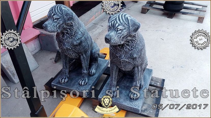 Image00110 - Decorațiuni de grădină din beton aditivat