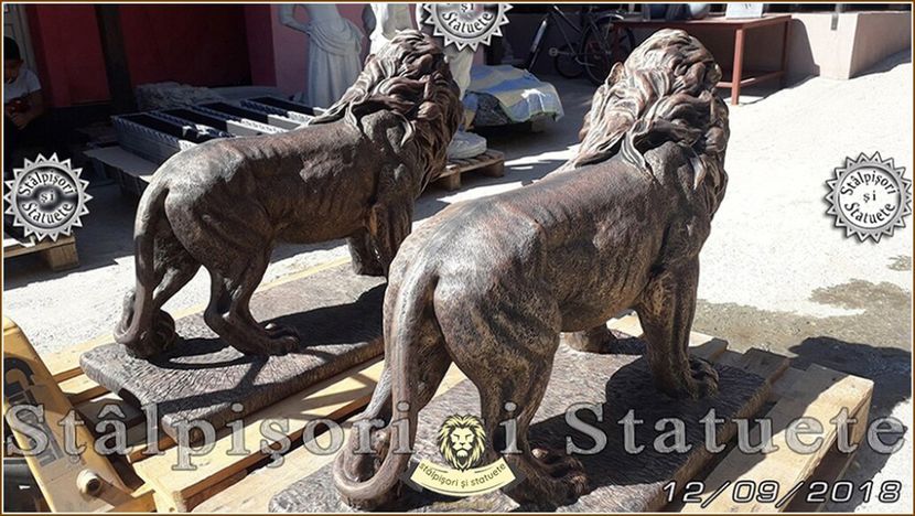 Image00284 - Decorațiuni de grădină din beton aditivat