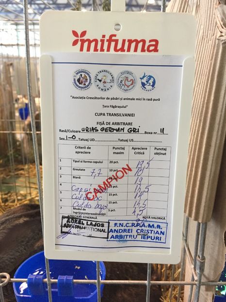 BD0372CA-038C-40EE-A722-3A3FC09A8404 - 0 Rezultate cupa Transilvaniei Brașov 22-24 Febr 2019