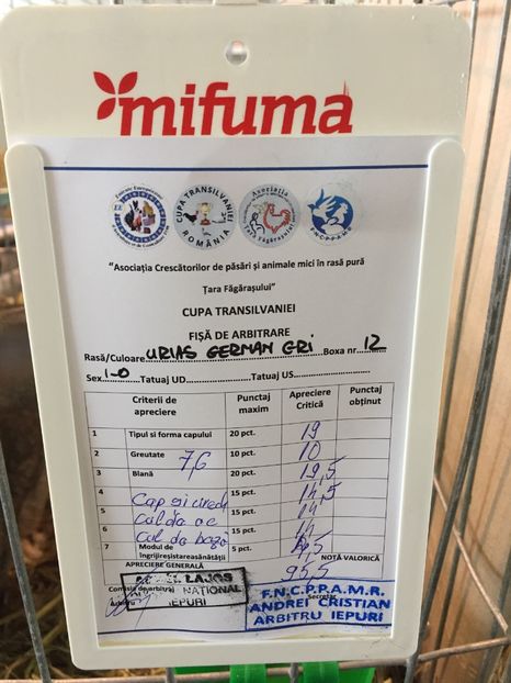 4AECCE5E-CB8E-47CE-BCF5-47F1EB9345D8 - 0 Rezultate cupa Transilvaniei Brașov 22-24 Febr 2019