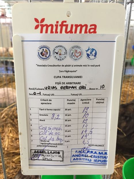 634E17D2-72CA-4C40-BA9A-EC9FF251C237 - 0 Rezultate cupa Transilvaniei Brașov 22-24 Febr 2019