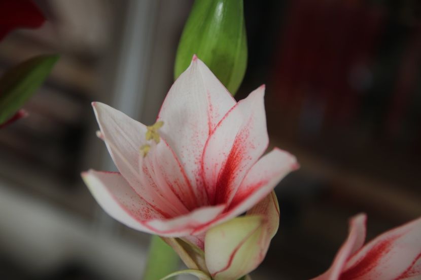 20190128135016_IMG_8380 - Charisma