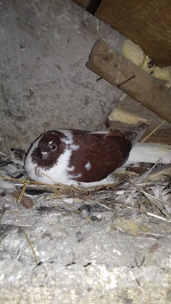  - Noutăți 2019