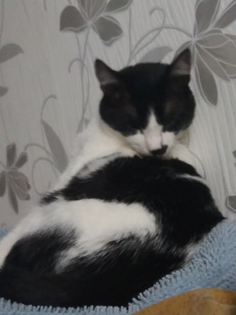  - Duracel februarie 2019