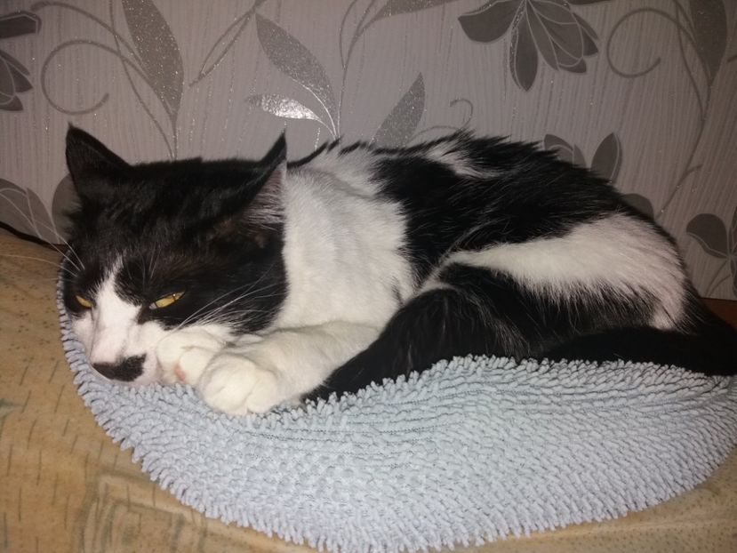  - Duracel februarie 2019