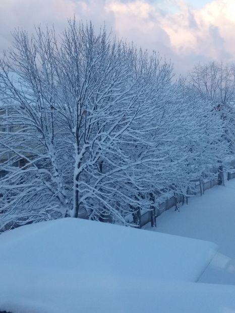  - Zăpada februarie 2019