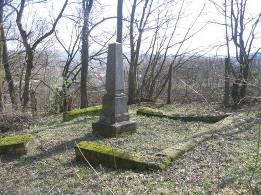  - FOSTUL SPITAL DE BOLI PSIHICE CRONICE ROCK CLUB BORSA MARAMURES resedinta privata