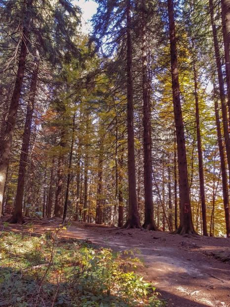  - 05 - Brașov-Postăvaru-oct 2018