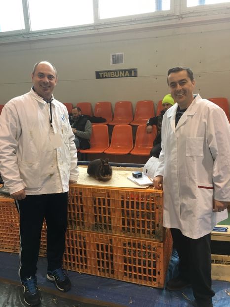 CA2B2966-FDDE-4108-B60A-87EEA3FC780B - 6 - Rezultate Expoziția Cupa Transilvaniei Brașov 22-24 Februarie 2019