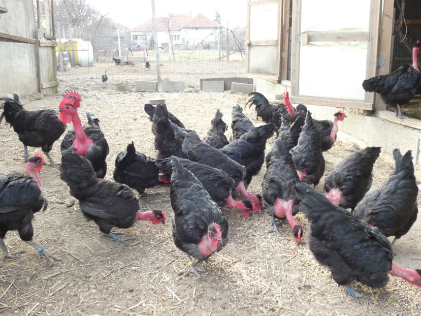 P1000756 - Matca 2019