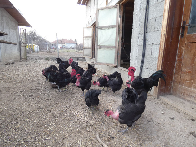 P1000768 - Matca 2019