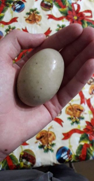 received_2328363264063470 - 02 - Matca pentru 2019