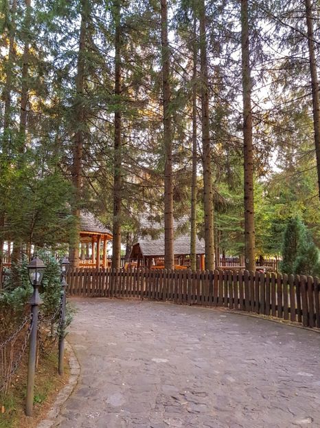  - 05 - Brașov-Postăvaru-oct 2018