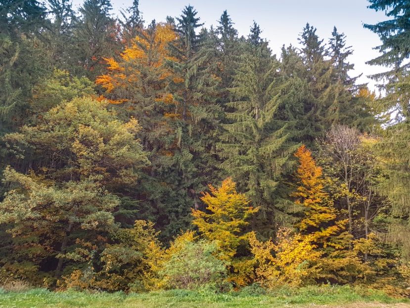  - 05 - Brașov-Postăvaru-oct 2018