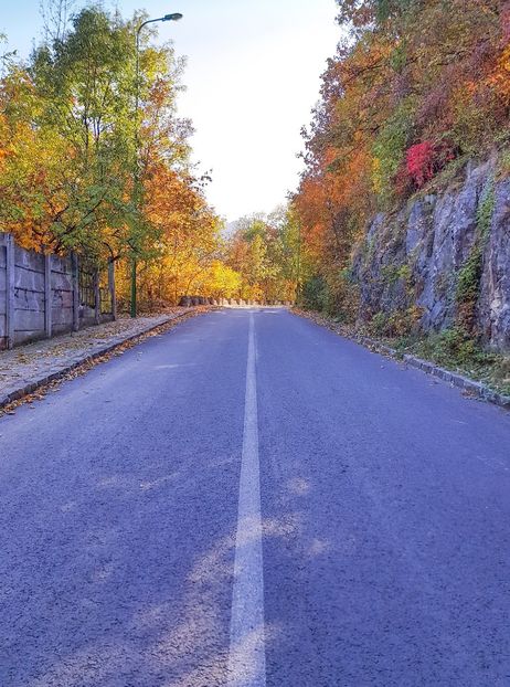 Spre Cetățuia - 05 - Brașov-Postăvaru-oct 2018