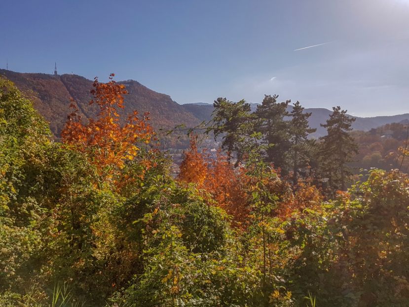  - 05 - Brașov-Postăvaru-oct 2018