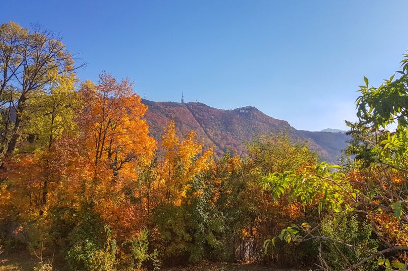  - 05 - Brașov-Postăvaru-oct 2018