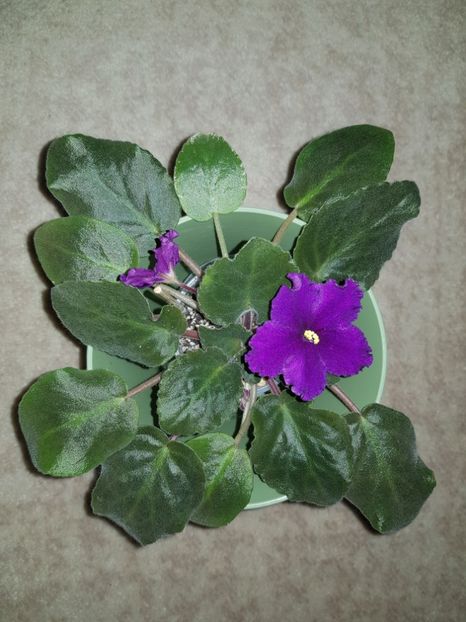 16.11.2018 - Cosmic Wonder