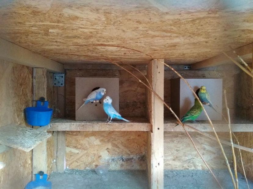  - 1 PERUSI 2018-2019