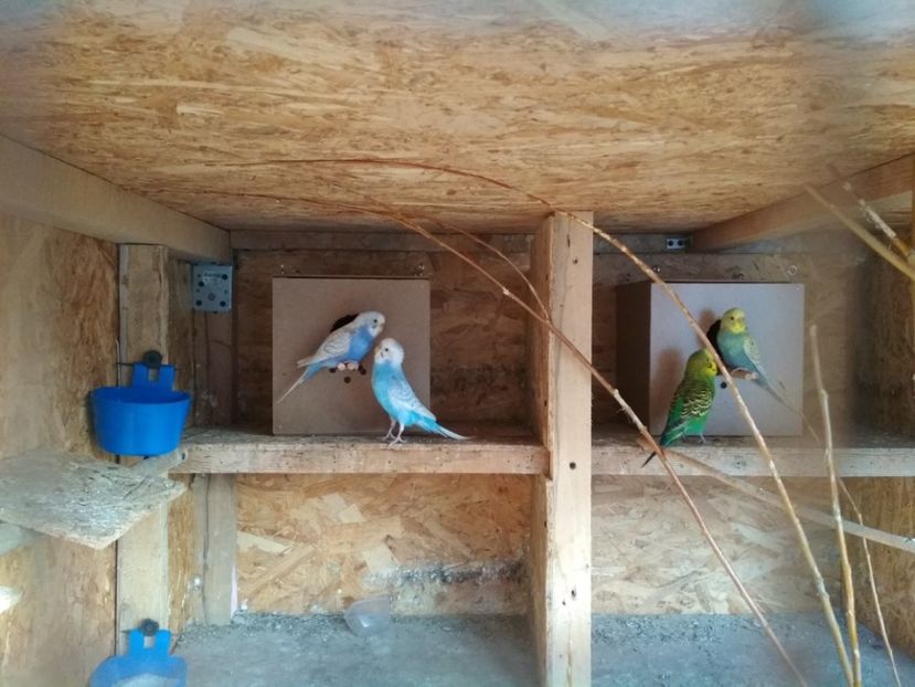  - 1 PERUSI 2018-2019