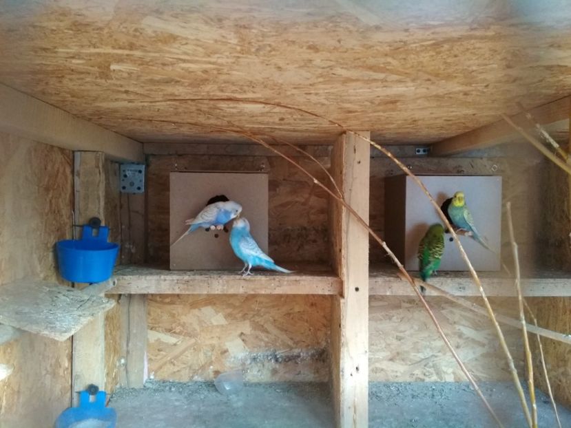  - 1 PERUSI 2018-2019