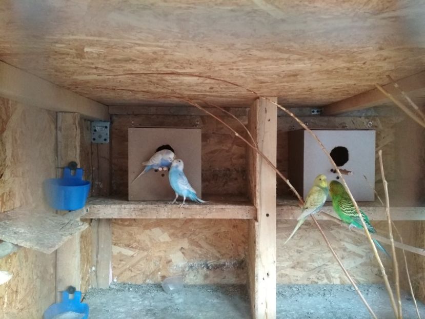  - 1 PERUSI 2018-2019