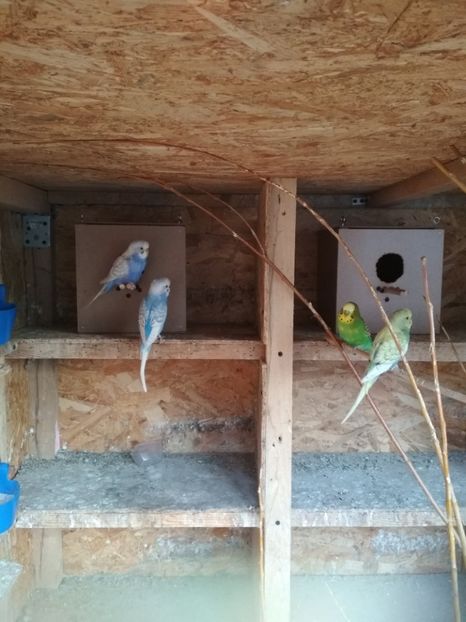  - 1 PERUSI 2018-2019