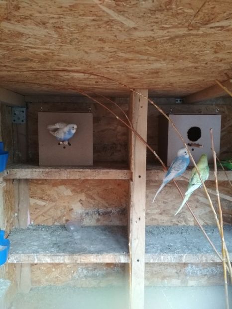  - 1 PERUSI 2018-2019