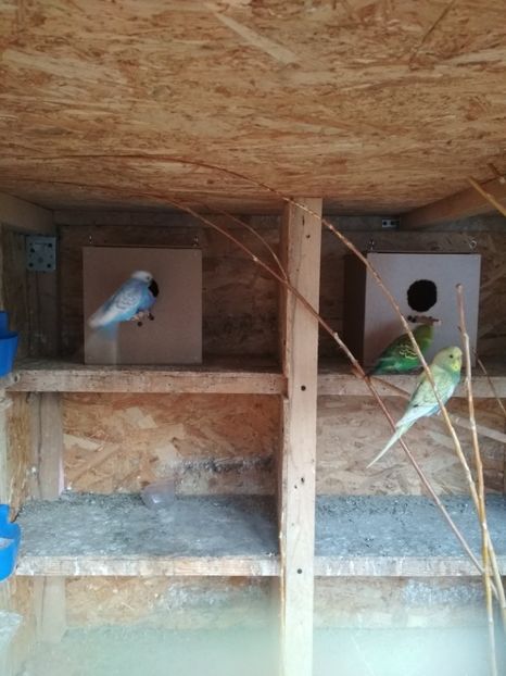  - 1 PERUSI 2018-2019