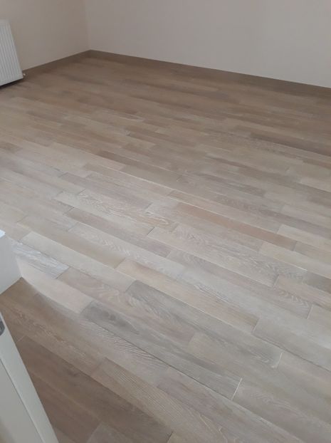 - 2019 Parchet Montat
